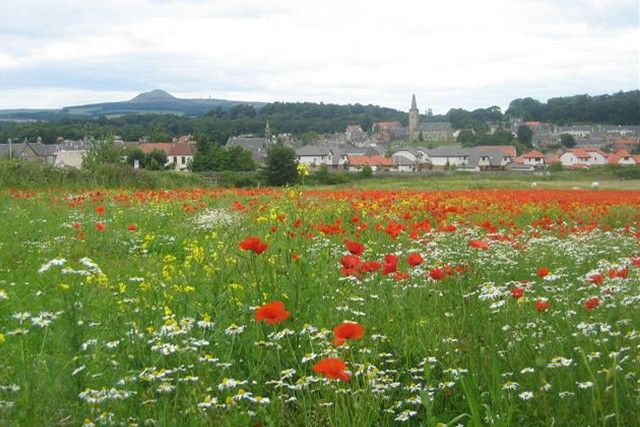 Photograph courtesy of Markinch Heritage Group